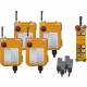 Télécommande RADIO centrale pour 4 palans 2 boutons - 2VL
