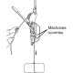 Opération de descente (mâchoires ouvertes) : celle-ci s'opère en diminuant progressivement la friction de la corde sur le tambour. Pour arrêter le mouvement, augmenter la tension sur le brin libre.