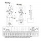 Pince PL pour le levage de profilés et poutrelles I ou H - Capacité 1 t à 4 t